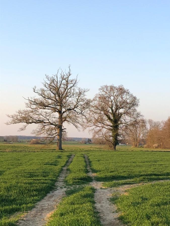 Ferienwohnung Le Nid Perche Brou Exterior foto